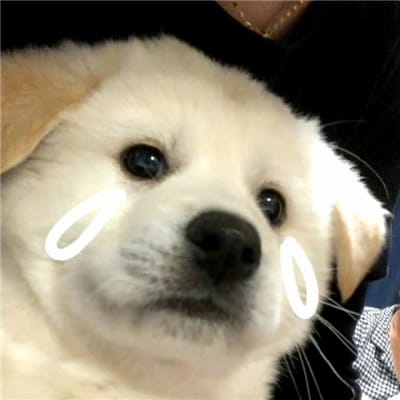 Thị Nương avatar